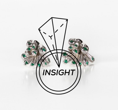 insight_2PJ
